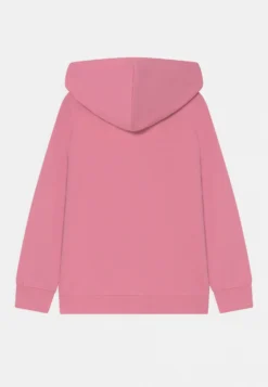 Friboo -Friboo 66d0d9419478489495799a1039c557bc scaled