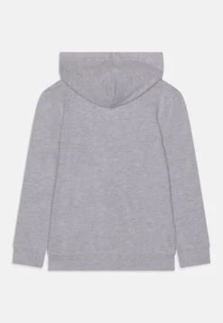 Friboo -Friboo a7baf07efaa945eea0bd80d38a855517 scaled