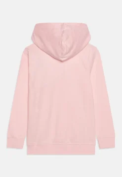 Friboo -Friboo c74202b7439e421893736cf1a657e504 scaled