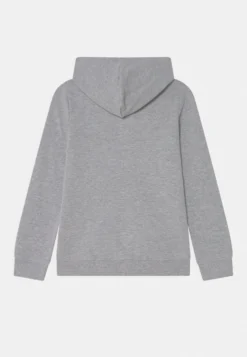 Friboo -Friboo d382147fcdd24ad8a46813636b433698 scaled