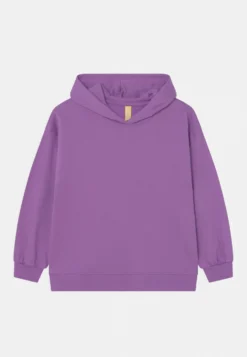 Friboo Hoodie 2 PackFelpaPurple/Light Grey Bambini Pullover & Cardigan F5723K02Q-I11 -Friboo da2dec0af23149c6bc5d46322ccb9f02 scaled